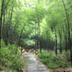 Meet your Posher, Emilie